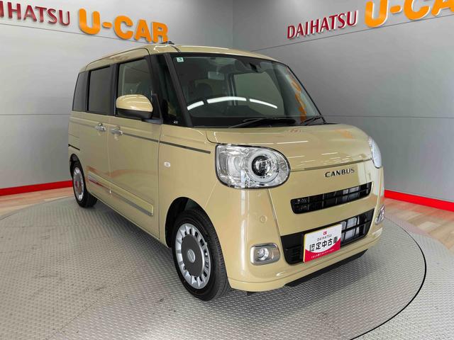 ムーヴキャンバス セオリーＧ（6枚目）