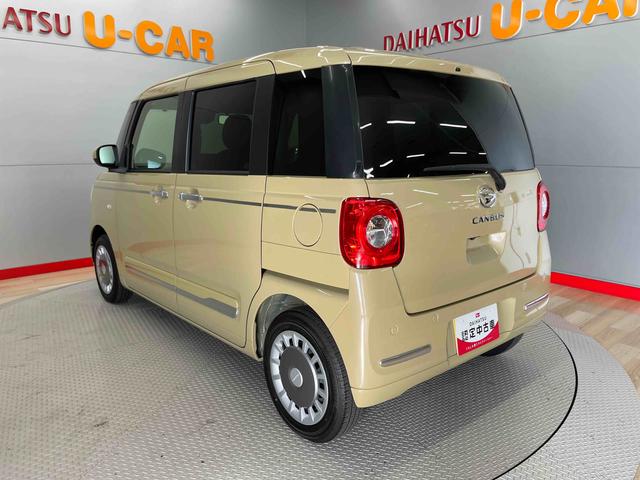 ムーヴキャンバス セオリーＧ（9枚目）