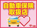 Ｇ　快適パッケージ装着車　４ＷＤ（49枚目）