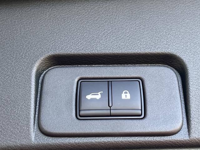 エクストレイル Ｇ　ｅ－４ＯＲＣＥ　プロパイロット　アラウンドビューモニター　純正メッモリーナビ　フルセグＴＶ　エマージェンシーブレーキ　パワーバックドア　クルーズコントロール　シートヒーター　ステアリングヒーター　純正アルミホイール（31枚目）