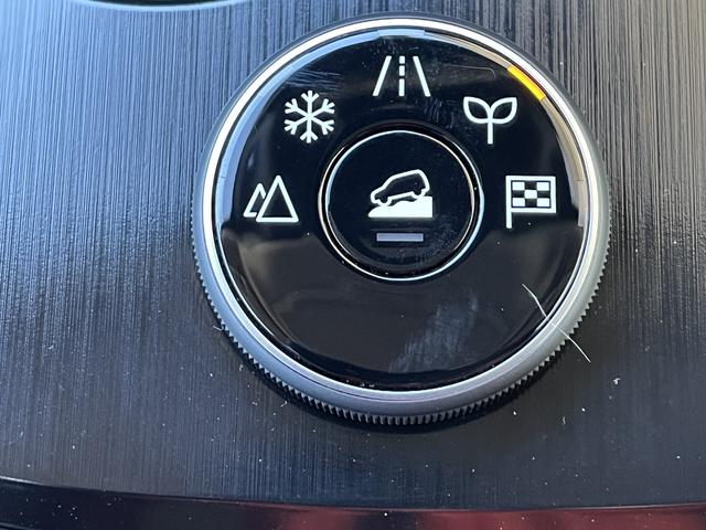 エクストレイル Ｇ　ｅ－４ＯＲＣＥ　プロパイロット　アラウンドビューモニター　純正メッモリーナビ　フルセグＴＶ　エマージェンシーブレーキ　パワーバックドア　クルーズコントロール　シートヒーター　ステアリングヒーター　純正アルミホイール（32枚目）