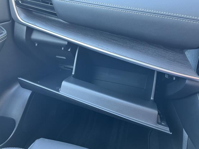 エクストレイル Ｇ　ｅ－４ＯＲＣＥ　プロパイロット　アラウンドビューモニター　純正メッモリーナビ　フルセグＴＶ　エマージェンシーブレーキ　パワーバックドア　クルーズコントロール　シートヒーター　ステアリングヒーター　純正アルミホイール（35枚目）