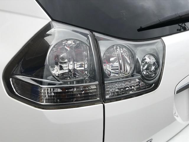 240G Lパッケージ 4WD サンルーフ 社外SDナビ付き(7枚目)
