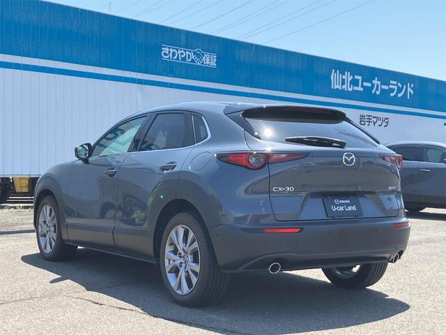 ＣＸ－３０ ＸＤ　プロアクティブ　ＭＡＺＤＡ認定Ｕ－ＣＡＲ　／　１．８ディーゼルターボ　／　ＥＴＣ　／　ワンオーナー　／　整備記録簿　／　ＣＤ　／　ＤＶＤ　／　３６０°ビューモニター　／　パワーリフトゲート（66枚目）