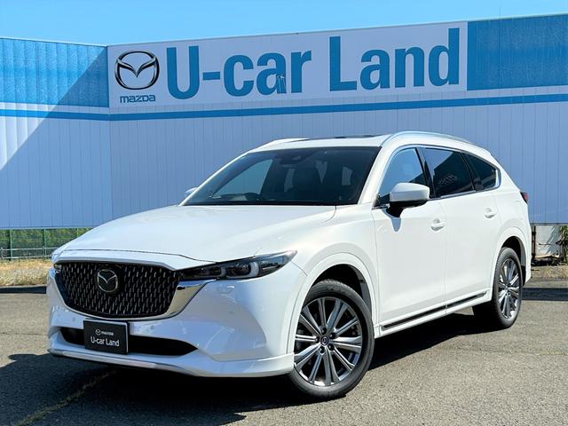 ＣＸ－８ ＸＤ　エクスクルーシブモード　ＭＡＺＤＡ認定Ｕ－ＣＡＲ　／　４ＷＤ　／　ＥＴＣ２．０　／　ワンオーナー　／　分解整備記録簿　／　禁煙車　／　パワーリフトゲート　／　３６０°ビューモニター　／　ＭＡＺＤＡ純正新品バッテリー納車（7枚目）