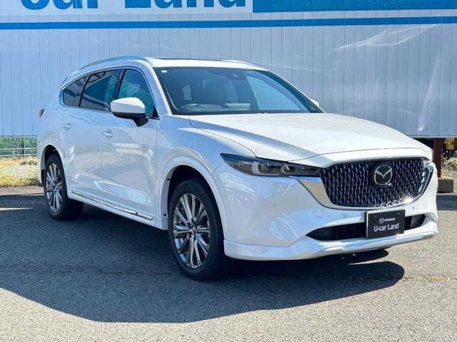 ＣＸ－８ ＸＤ　エクスクルーシブモード　ＭＡＺＤＡ認定Ｕ－ＣＡＲ　／　４ＷＤ　／　ＥＴＣ２．０　／　ワンオーナー　／　分解整備記録簿　／　禁煙車　／　パワーリフトゲート　／　３６０°ビューモニター　／　ＭＡＺＤＡ純正新品バッテリー納車（9枚目）
