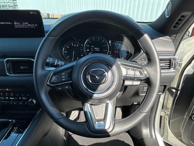 ＣＸ－８ ＸＤ　エクスクルーシブモード　ＭＡＺＤＡ認定Ｕ－ＣＡＲ　／　４ＷＤ　／　ＥＴＣ２．０　／　ワンオーナー　／　分解整備記録簿　／　禁煙車　／　パワーリフトゲート　／　３６０°ビューモニター　／　ＭＡＺＤＡ純正新品バッテリー納車（29枚目）