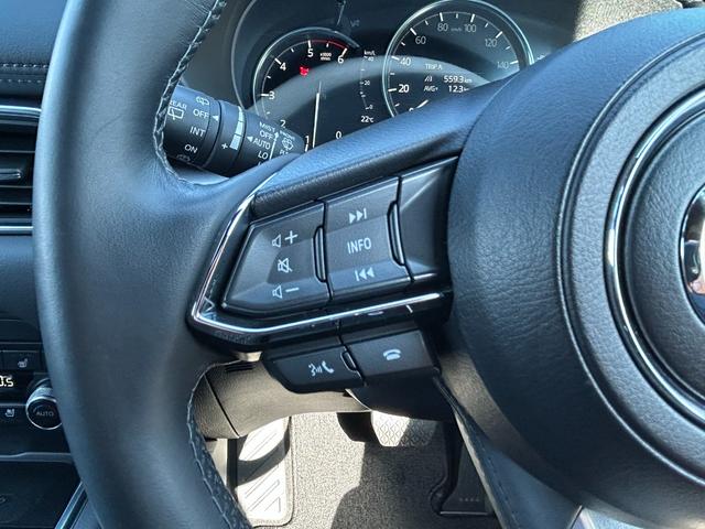 ＣＸ－８ ＸＤ　エクスクルーシブモード　ＭＡＺＤＡ認定Ｕ－ＣＡＲ　／　４ＷＤ　／　ＥＴＣ２．０　／　ワンオーナー　／　分解整備記録簿　／　禁煙車　／　パワーリフトゲート　／　３６０°ビューモニター　／　ＭＡＺＤＡ純正新品バッテリー納車（31枚目）