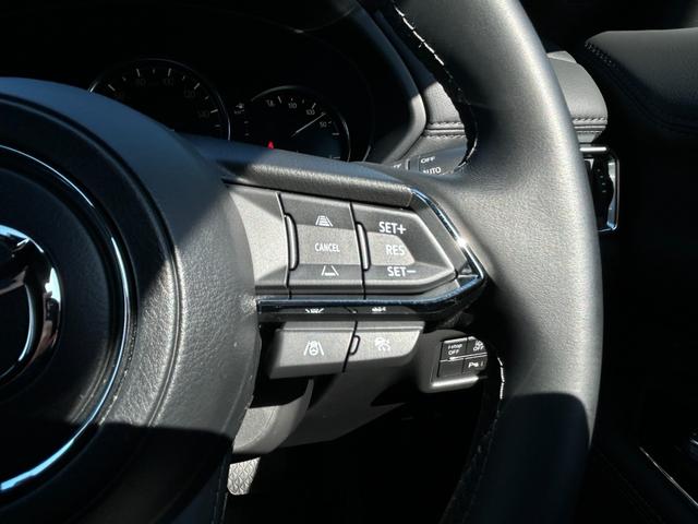 ＣＸ－８ ＸＤ　エクスクルーシブモード　ＭＡＺＤＡ認定Ｕ－ＣＡＲ　／　４ＷＤ　／　ＥＴＣ２．０　／　ワンオーナー　／　分解整備記録簿　／　禁煙車　／　パワーリフトゲート　／　３６０°ビューモニター　／　ＭＡＺＤＡ純正新品バッテリー納車（32枚目）