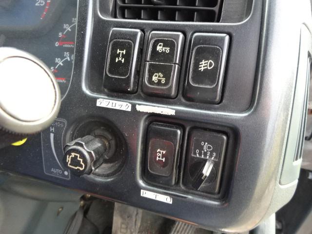 ビッグサム 　深ダンプ（18枚目）