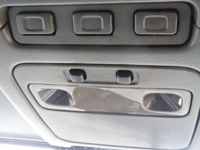 ビッグサム 　深ダンプ（24枚目）