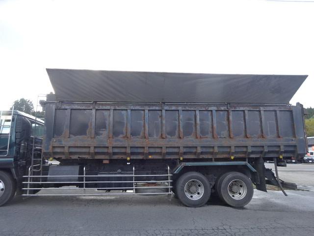 ビッグサム 　深ダンプ（28枚目）