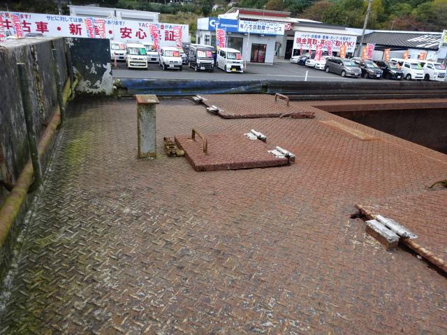 ビッグサム 　深ダンプ（31枚目）