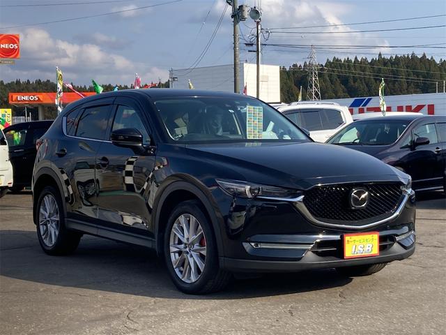 ＣＸ－５ ＸＤ　Ｌパッケージ　４ＷＤ　【修復歴無　東京都仕入　禁煙車】マツダコネクトナビ　ＴＶ　パワーバックドア　バックモニター　ドラレコ　レザーシート　ブルーミラー　純正アルミペダルセット　ＬＥＤフロアランプ　ＢＯＳＥスピーカー（4枚目）