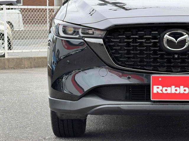 ＣＸ－５ ＸＤ　ブラックトーンエディション　ワンオーナー　純正ナビＴＶ　３６０°カメラ　ハーフレザー　シートヒーター　ステアリングヒーター　純正１９ＡＷ　クルコン　ＨＵＤ　ＢＳＭ　パワーバックドア　パドルシフト　ラバーマット（9枚目）