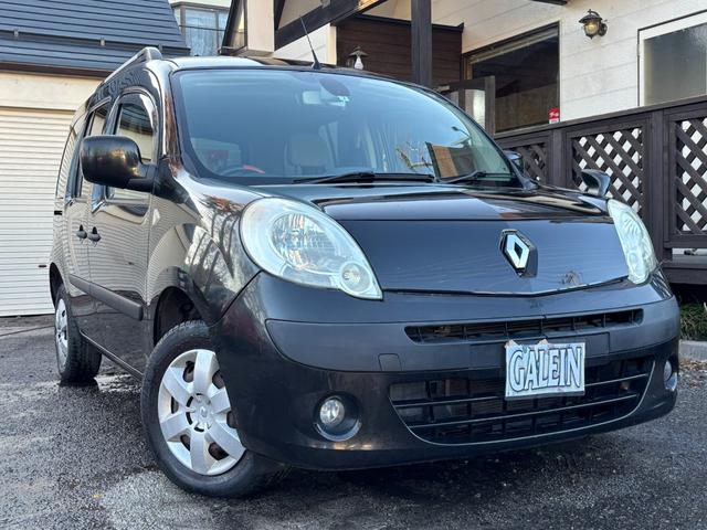 カングー 1.6 タイミングベルト交換済 ナビ バックカメラ ETC フォグ キーレス オートライト ルーフレール ドアバイザー AAC 電動格納ミラー(24枚目)