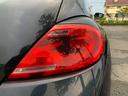 VOLKSWAGEN THE BEETLE