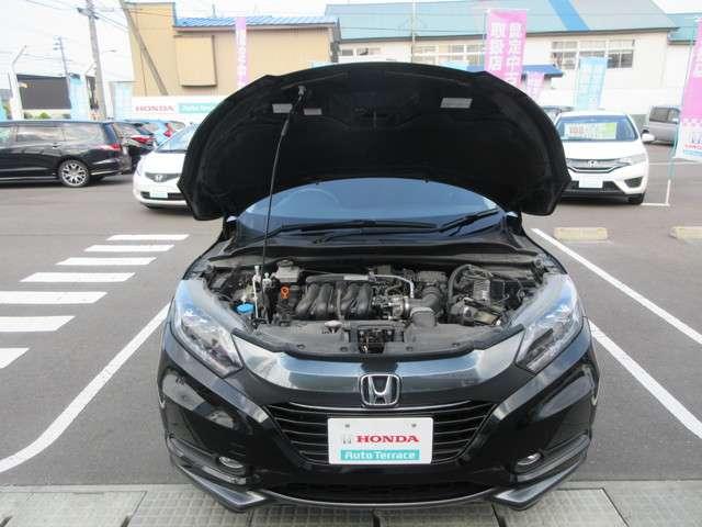 ハイブリッドX(17枚目)