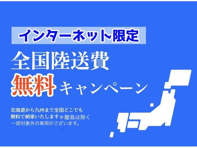 シルク SAII 4WD 純正SDナビ 地デジ・DVD・BTオーディオ バックカメラ 前後ドライブレコーダー スマートキー VSC横滑り防止 アイドリングストップ ワイパーデアイサー LEDヘッドライト ETC 新品冬タイヤ(68枚目)