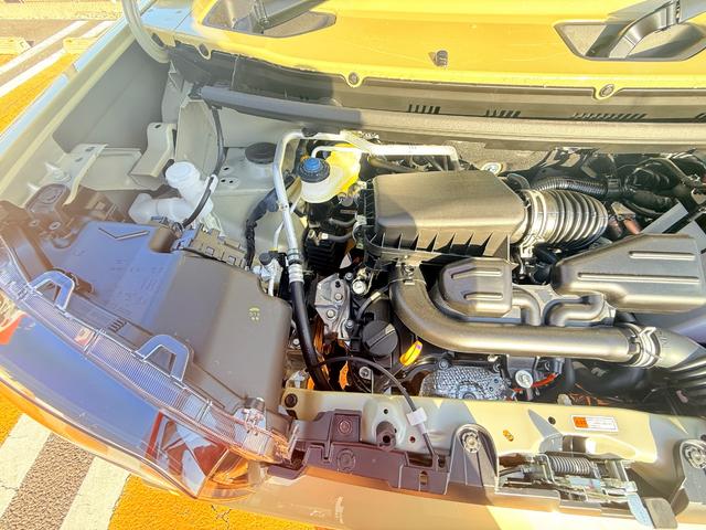 タフト Ｘ　バックカメラ　ＴＶ　クリアランスソナー　レーンアシスト　衝突被害軽減システム　ＬＥＤヘッドランプ　スマートキー　アイドリングストップ　電動格納ミラー　サンルーフ　ＣＶＴ　盗難防止システム　ＡＢＳ（45枚目）