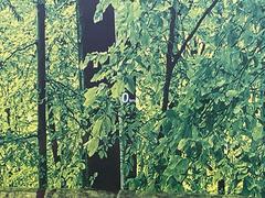 ڥ顼إåɥåץǥץ쥤۸ߤ®٤ԾǥɽǱžΥ饹ơ顼դǻǧ⤯ž򤺤餵ɬפʾǧǤΤǤȤäƤǰ¿ 6