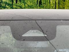 �ڥۥ�����󥷥󥰡�������������μ�ξ����ǧ���������ͤ������ʻ��Ϸ���ȥ֥졼���Ǿ��Ͳ�����ﳲ�ڸ��򥢥����ȡ��������˥ɥ饤�֤򤪳ڤ��ߤ��������ޤ��� 6