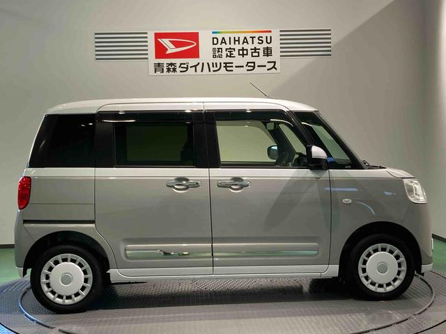 ムーヴキャンバス ストライプスＧ（8枚目）