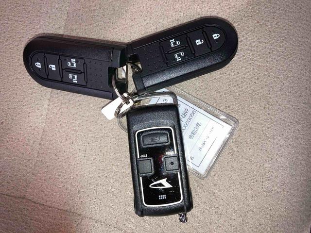 ムーヴキャンバス Ｇメイクアップリミテッド　ＳＡＩＩＩ（32枚目）