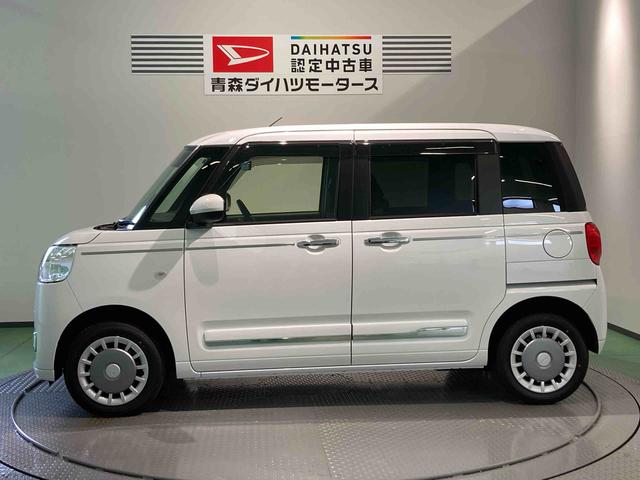 ムーヴキャンバス セオリーＧ（4枚目）