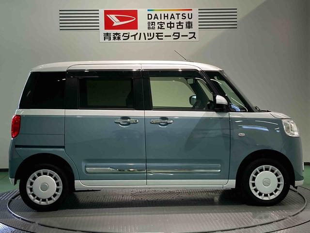 ムーヴキャンバス ストライプスＧ（8枚目）