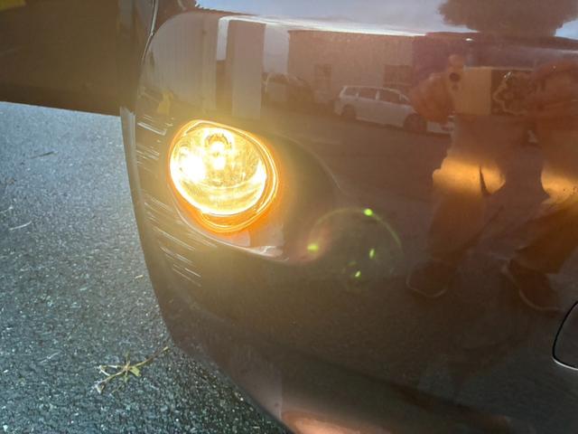フォグランプ