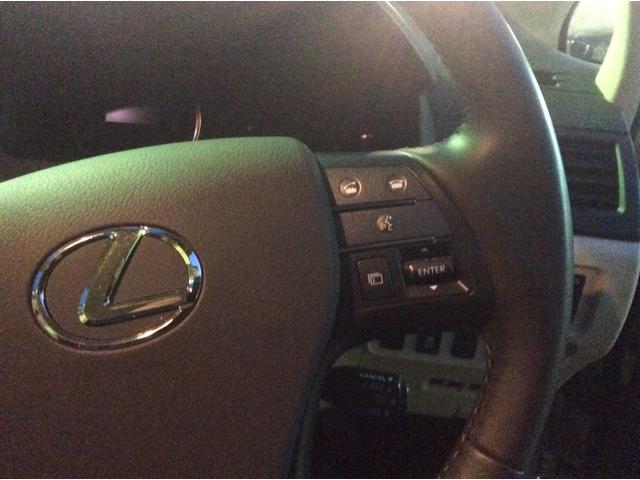 HS250h HDDフルセグ 前後カメラ LED クルコン(31枚目)