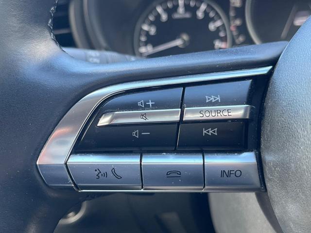 CX-30 20S プロアクティブ ツーリングセレクション 衝突軽減装置 純正8.8型ナビ 全周囲カメラ レーダークルーズ ETC Bluetooth フルセグ シートヒーター パワーバックドア パワーシート LEDヘッド LEDフォグ レーンキープアシスト(34枚目)