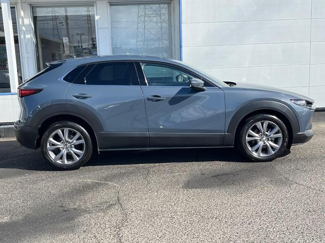 CX-30 20S プロアクティブ ツーリングセレクション 衝突軽減装置 純正8.8型ナビ 全周囲カメラ レーダークルーズ ETC Bluetooth フルセグ シートヒーター パワーバックドア パワーシート LEDヘッド LEDフォグ レーンキープアシスト(70枚目)