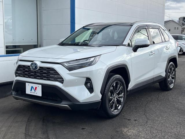 RAV4 ハイブリッドG 4WD サンルーフ 衝突被害軽減システム 禁煙車 10.5型ディスプレイオーディオ ハーフレザーシート バックカメラ サイドカメラ レーダークルーズ 前席シートエアコン パワーシート 電動リアゲート(29枚目)