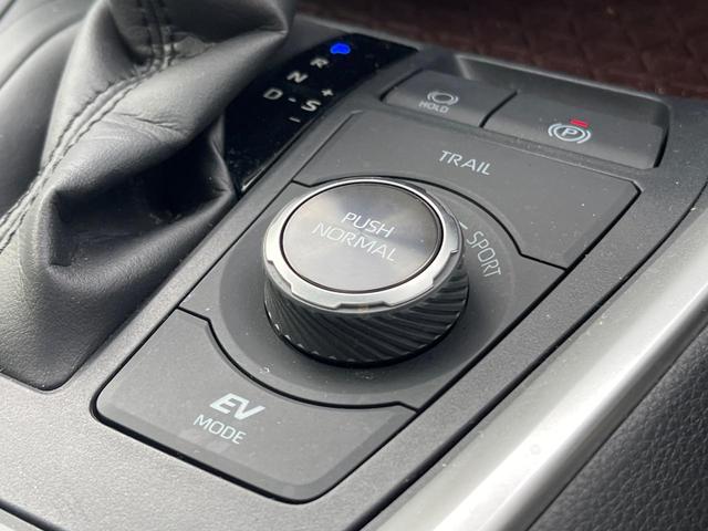 RAV4 ハイブリッドG 4WD サンルーフ 衝突被害軽減システム 禁煙車 10.5型ディスプレイオーディオ ハーフレザーシート バックカメラ サイドカメラ レーダークルーズ 前席シートエアコン パワーシート 電動リアゲート(57枚目)