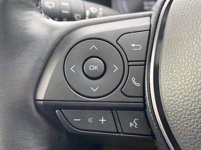 RAV4 ハイブリッドG 4WD サンルーフ 衝突被害軽減システム 禁煙車 10.5型ディスプレイオーディオ ハーフレザーシート バックカメラ サイドカメラ レーダークルーズ 前席シートエアコン パワーシート 電動リアゲート(65枚目)