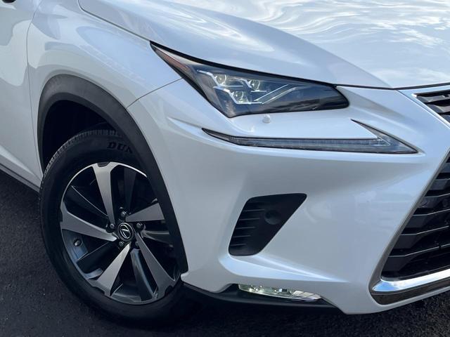 ＮＸ ＮＸ３００　バージョンＬ　サンルーフ　衝突軽減装置　禁煙車　純正１０．３インチナビ　全周囲カメラ　レザーシート　レーダークルーズ　ＥＴＣ　Ｂｌｕｅｔｏｏｔｈ　フルセグ　前席シートベンチレーション　後席シートヒーター　クルコン（12枚目）