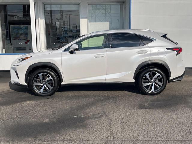 ＮＸ ＮＸ３００　バージョンＬ　サンルーフ　衝突軽減装置　禁煙車　純正１０．３インチナビ　全周囲カメラ　レザーシート　レーダークルーズ　ＥＴＣ　Ｂｌｕｅｔｏｏｔｈ　フルセグ　前席シートベンチレーション　後席シートヒーター　クルコン（30枚目）