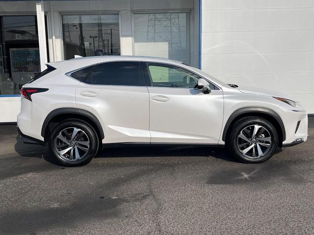 ＮＸ ＮＸ３００　バージョンＬ　サンルーフ　衝突軽減装置　禁煙車　純正１０．３インチナビ　全周囲カメラ　レザーシート　レーダークルーズ　ＥＴＣ　Ｂｌｕｅｔｏｏｔｈ　フルセグ　前席シートベンチレーション　後席シートヒーター　クルコン（33枚目）