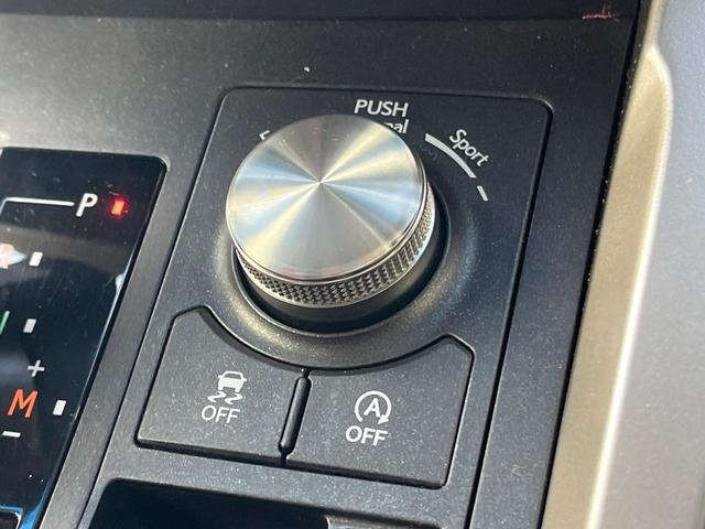 ＮＸ ＮＸ３００　バージョンＬ　サンルーフ　衝突軽減装置　禁煙車　純正１０．３インチナビ　全周囲カメラ　レザーシート　レーダークルーズ　ＥＴＣ　Ｂｌｕｅｔｏｏｔｈ　フルセグ　前席シートベンチレーション　後席シートヒーター　クルコン（35枚目）