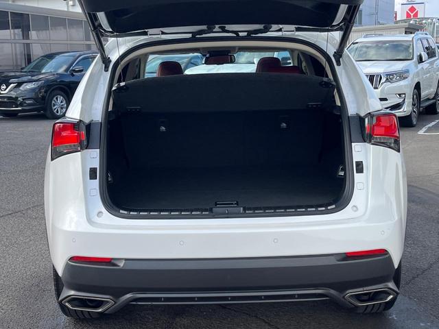 ＮＸ ＮＸ３００　バージョンＬ　サンルーフ　衝突軽減装置　禁煙車　純正１０．３インチナビ　全周囲カメラ　レザーシート　レーダークルーズ　ＥＴＣ　Ｂｌｕｅｔｏｏｔｈ　フルセグ　前席シートベンチレーション　後席シートヒーター　クルコン（47枚目）