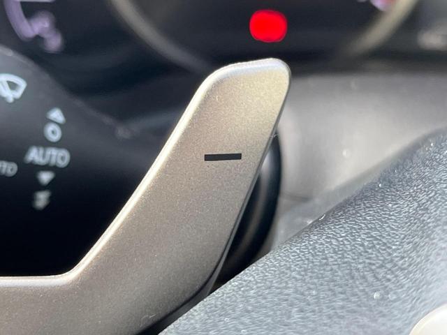 ＮＸ ＮＸ３００　バージョンＬ　サンルーフ　衝突軽減装置　禁煙車　純正１０．３インチナビ　全周囲カメラ　レザーシート　レーダークルーズ　ＥＴＣ　Ｂｌｕｅｔｏｏｔｈ　フルセグ　前席シートベンチレーション　後席シートヒーター　クルコン（64枚目）