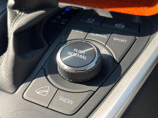 RAV4 アドベンチャー 4WD バックカメラ 衝突被害軽減システム レーダークルーズ 禁煙車 ハーフレザーシート 前席シートエアコン パワーシート ドラレコ コーナーセンサー スマートキー LEDヘッド ルーフレール(46枚目)