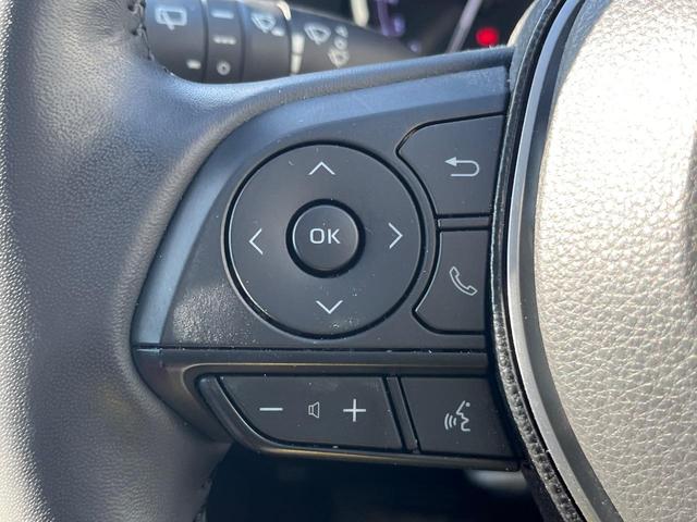 ＲＡＶ４ アドベンチャー　オフロードパッケージ　４ＷＤ　全周囲カメラ　衝突被害軽減　９型ディスプレイオーディオ　レーダークルーズ　禁煙車　電動リアゲート　前席シートエアコン　パワーシート　ドラレコ　コーナーセンサー　スマートキー　ＬＥＤヘッド（31枚目）