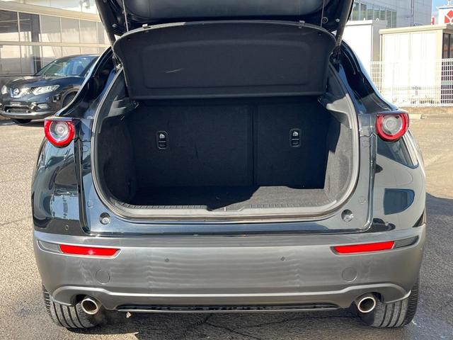 ＣＸ－３０ ２０Ｓ　プロアクティブ　ツーリングセレクション　衝突軽減　純正８．８型ナビ　ＢＯＳＥ　レーダークルーズ　全周囲カメラ　ＥＴＣ　Ｂｌｕｅｔｏｏｔｈ　フルセグ　ドラレコ　シートヒーター　パワーバックドア　ＬＥＤヘッド　レーンキープ　クリアランスソナー（10枚目）