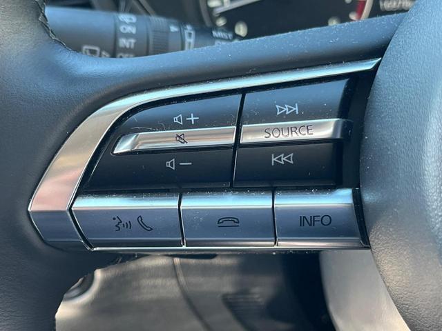 ＣＸ－３０ ２０Ｓ　プロアクティブ　ツーリングセレクション　衝突軽減　純正８．８型ナビ　ＢＯＳＥ　レーダークルーズ　全周囲カメラ　ＥＴＣ　Ｂｌｕｅｔｏｏｔｈ　フルセグ　ドラレコ　シートヒーター　パワーバックドア　ＬＥＤヘッド　レーンキープ　クリアランスソナー（36枚目）