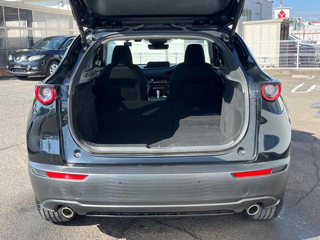 ＣＸ－３０ ２０Ｓ　プロアクティブ　ツーリングセレクション　衝突軽減　純正８．８型ナビ　ＢＯＳＥ　レーダークルーズ　全周囲カメラ　ＥＴＣ　Ｂｌｕｅｔｏｏｔｈ　フルセグ　ドラレコ　シートヒーター　パワーバックドア　ＬＥＤヘッド　レーンキープ　クリアランスソナー（48枚目）