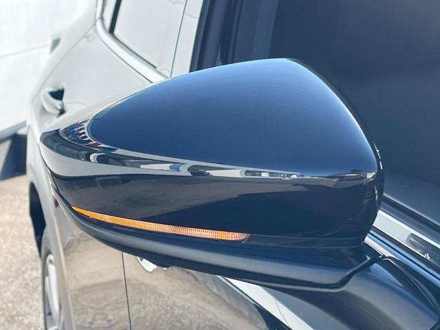 ＣＸ－３０ ２０Ｓ　プロアクティブ　ツーリングセレクション　衝突軽減　純正８．８型ナビ　ＢＯＳＥ　レーダークルーズ　全周囲カメラ　ＥＴＣ　Ｂｌｕｅｔｏｏｔｈ　フルセグ　ドラレコ　シートヒーター　パワーバックドア　ＬＥＤヘッド　レーンキープ　クリアランスソナー（51枚目）