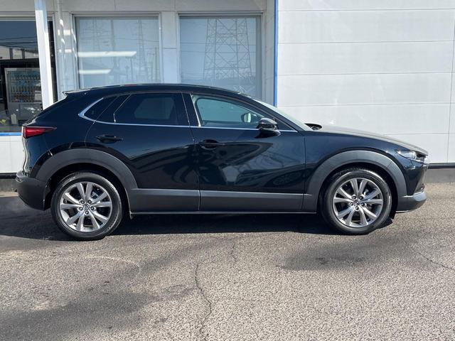 ＣＸ－３０ ２０Ｓ　プロアクティブ　ツーリングセレクション　衝突軽減　純正８．８型ナビ　ＢＯＳＥ　レーダークルーズ　全周囲カメラ　ＥＴＣ　Ｂｌｕｅｔｏｏｔｈ　フルセグ　ドラレコ　シートヒーター　パワーバックドア　ＬＥＤヘッド　レーンキープ　クリアランスソナー（69枚目）